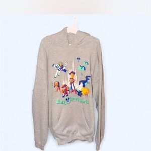 Disney Parks Gray Hoodie with Colorful Characters